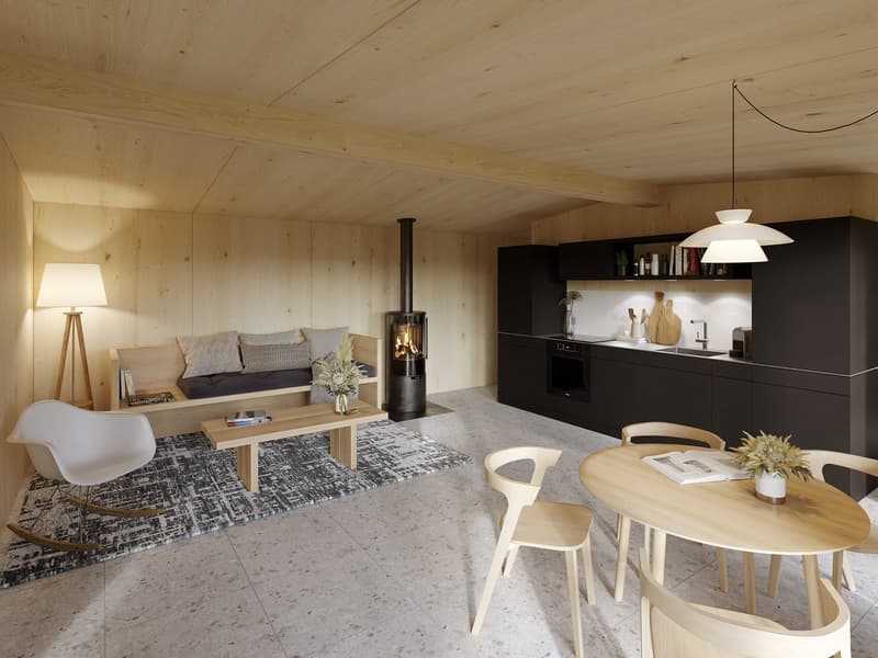 small wooden living space with living room, kitchen and dining area, fireplace, floor heating