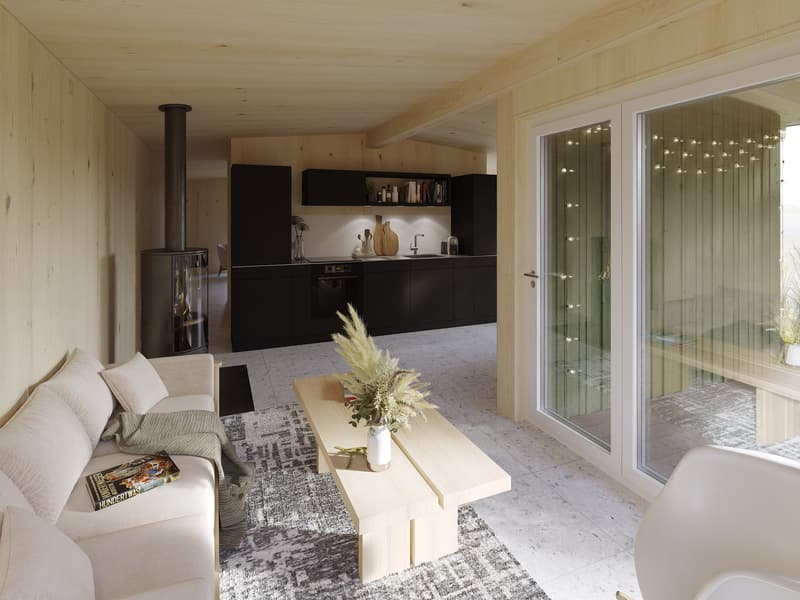 open living area with kitchen, fireplace, sofa, coffee table, rug