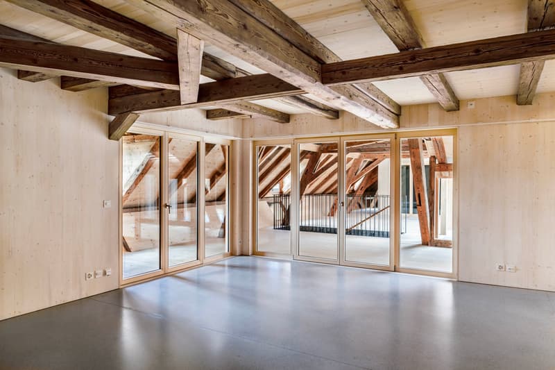 Einzigartige Loftwohnung in historischer Makkaronifabrik (3)