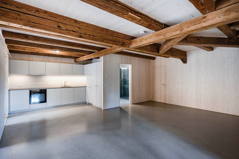 Einzigartige Loftwohnung in historischer Makkaronifabrik (2)