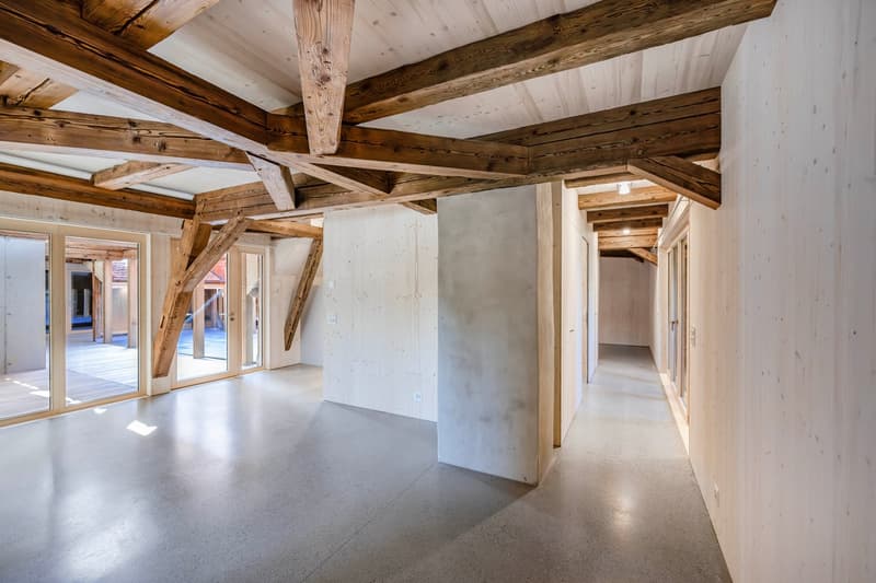 Einzigartige Loftwohnung in historischer Makkaronifabrik (5)