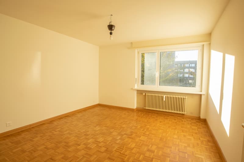 Zimmer.jpg