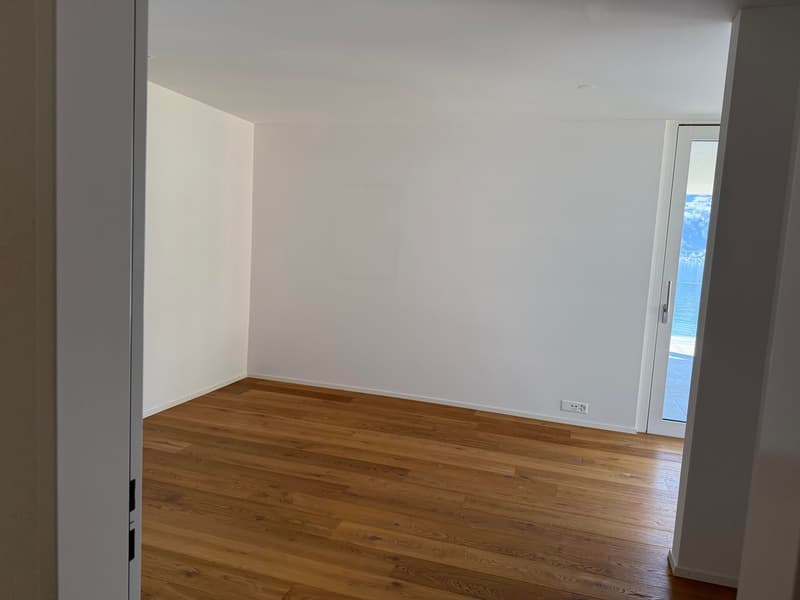 5.5-Zimmer-Maisonette mit unverbaubarer Seesicht, Gersau (13)