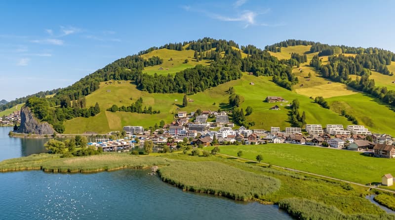 Appartamento attico 3,5 locali con vista lago a Euthal - luminoso (3)