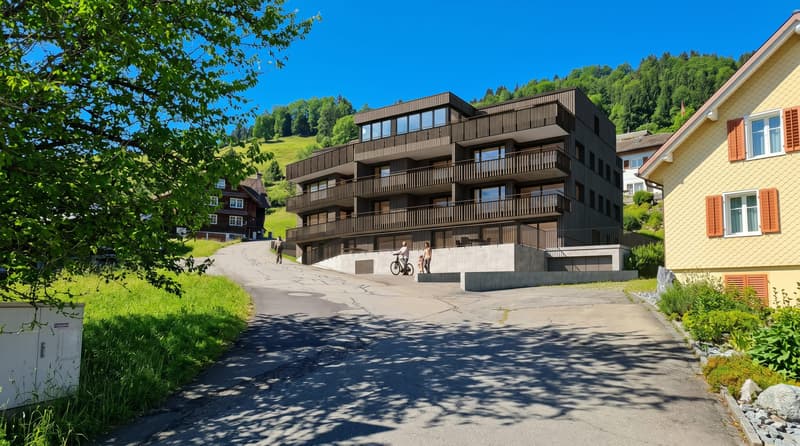 Appartamento attico 3,5 locali con vista lago a Euthal - luminoso (2)