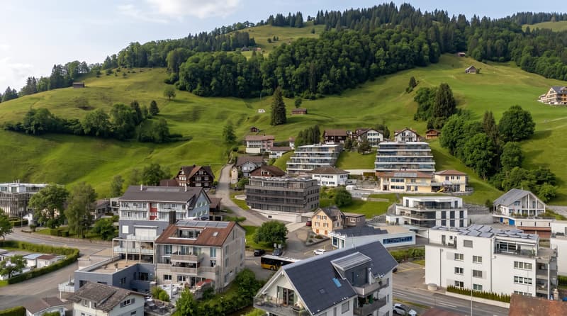 Appartamento attico 3,5 locali con vista lago a Euthal - luminoso (6)