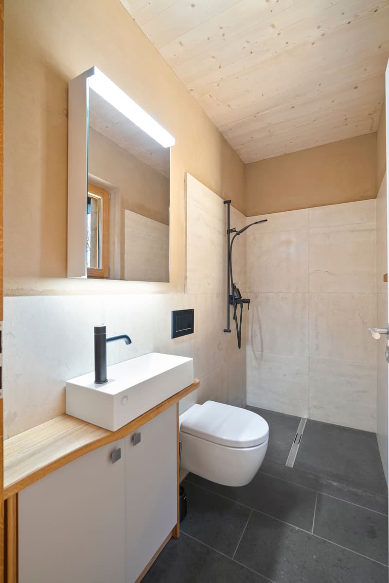 Detached 3-room house with a natural view in Lachen for rent (6)