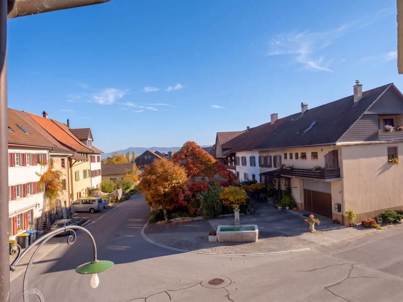 4.5-Zimmer-Wohnung in ruhiger Lage in Trasadingen kaufen (1)