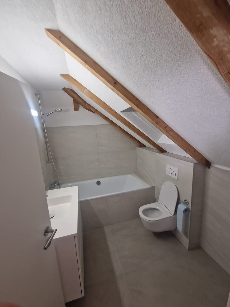 Kernsaniertes Mehrfamilienhaus (17)
