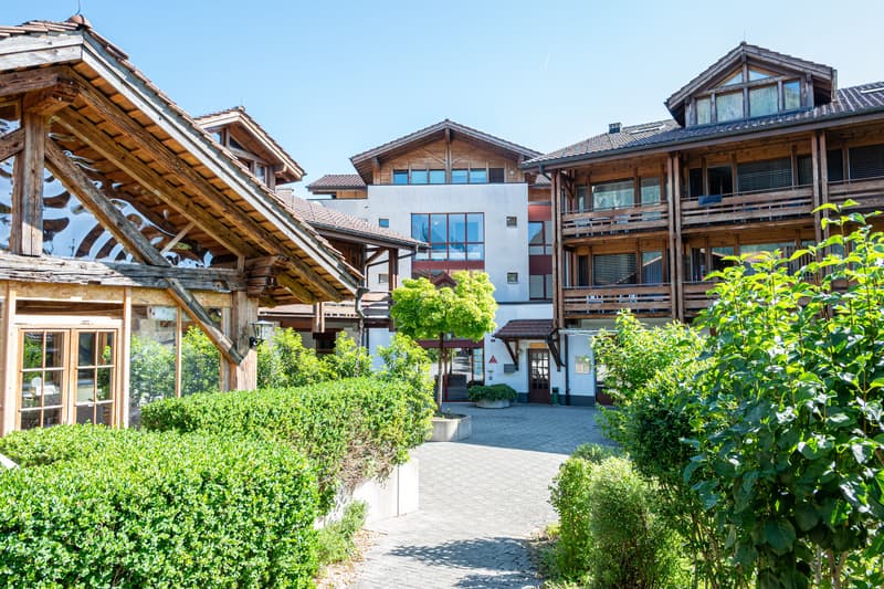 Cozy 1-room studio with mountain view in Aeschi near Spiez for sale (11)