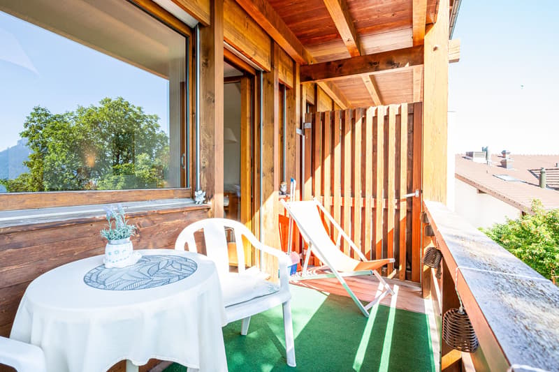 Cozy 1-room studio with mountain view in Aeschi near Spiez for sale (8)