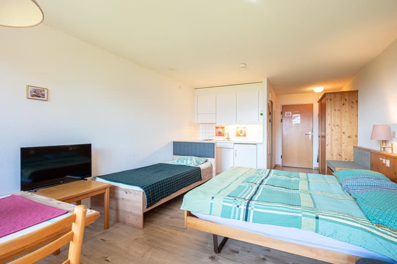 Cozy 1-room studio with mountain view in Aeschi near Spiez for sale (4)