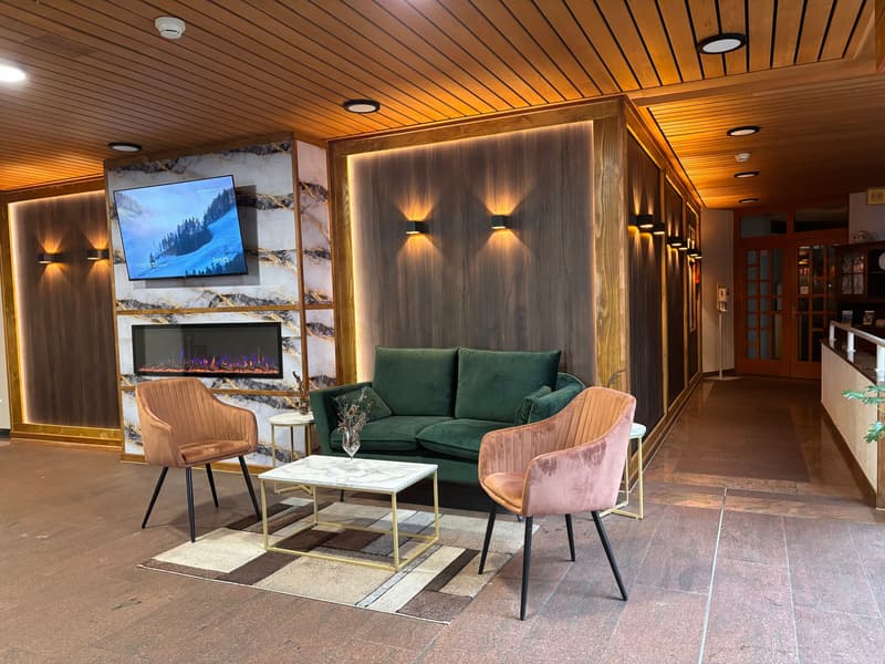 Cozy 1-room studio with mountain view in Aeschi near Spiez for sale (9)