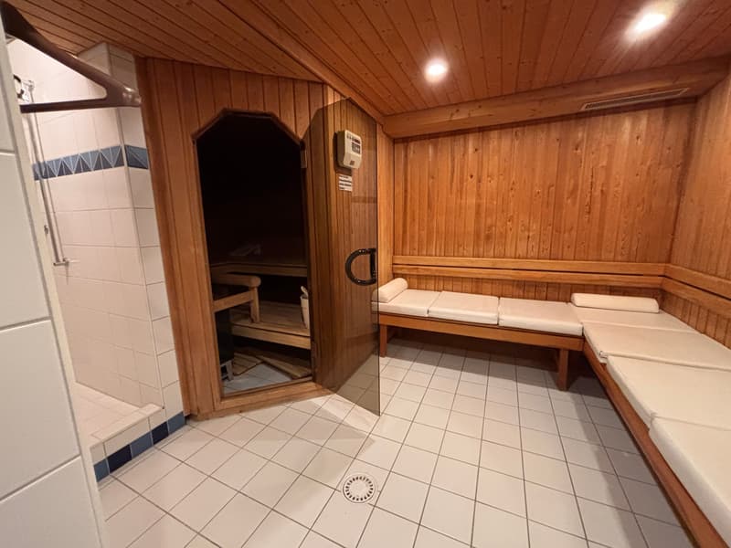 Cozy 1-room studio with mountain view in Aeschi near Spiez for sale (10)