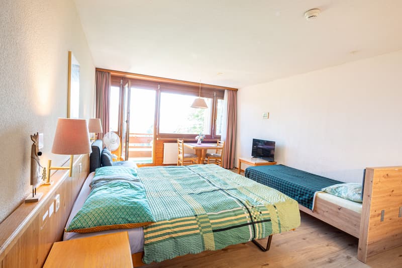 Cozy 1-room studio with mountain view in Aeschi near Spiez for sale (1)