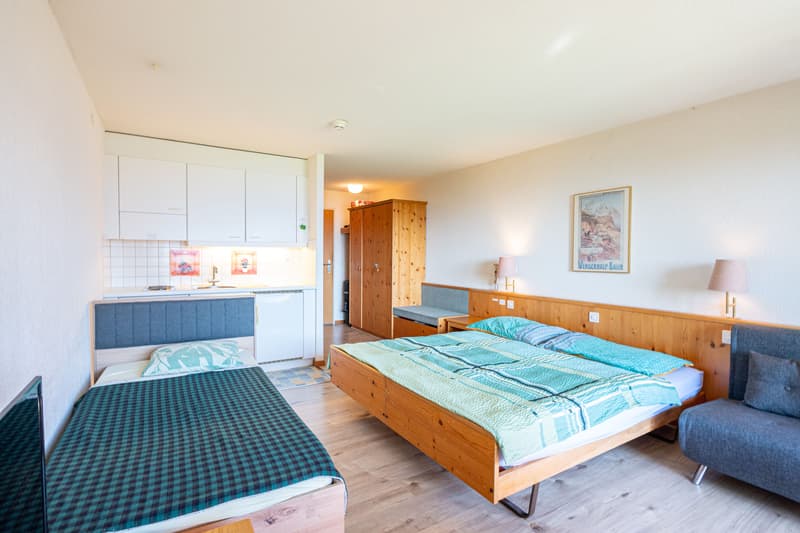 Cozy 1-room studio with mountain view in Aeschi near Spiez for sale (3)