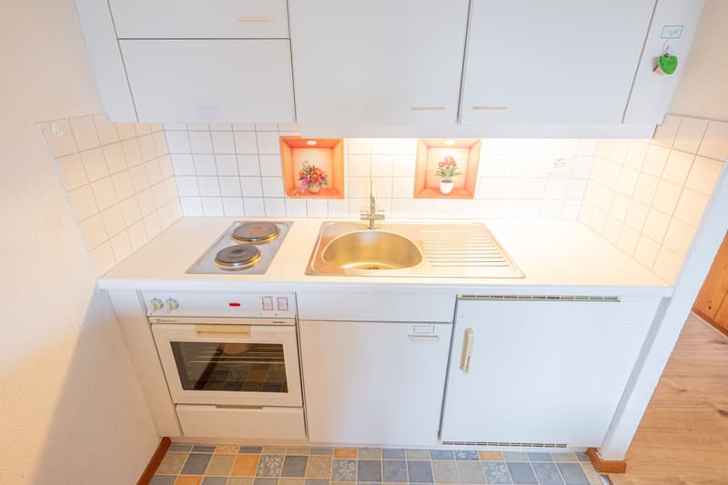 Cozy 1-room studio with mountain view in Aeschi near Spiez for sale (5)