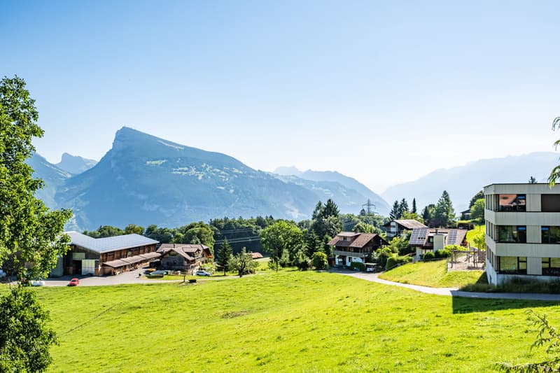 Cozy 1-room studio with mountain view in Aeschi near Spiez for sale (2)