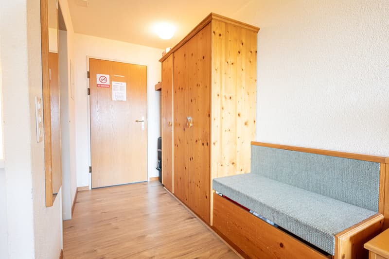 Cozy 1-room studio with mountain view in Aeschi near Spiez for sale (6)