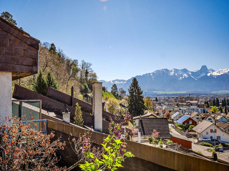 Zu verkaufen in Steffisburg: 5.5-Zimmer Reihenhaus mit hoher Privatsphäre (1)