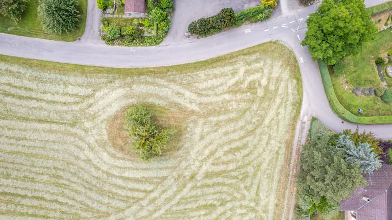 Bauparzelle 1'336 m2 mit Weitsicht in Burgistein kaufen (7)