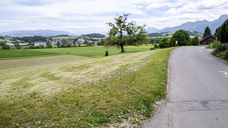 Bauparzelle 1'336 m2 mit Weitsicht in Burgistein kaufen (12)
