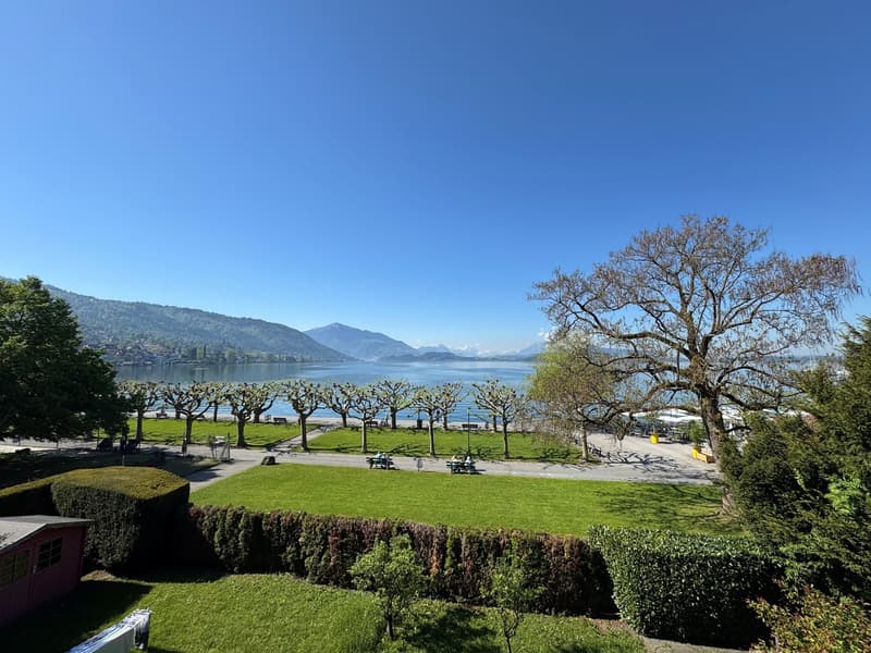 green lawn, trees, bushes, lake, mountains, clear sky