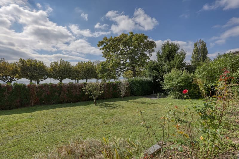 large green lawn, hedge, trees, bushes, flowers, clear blue sky