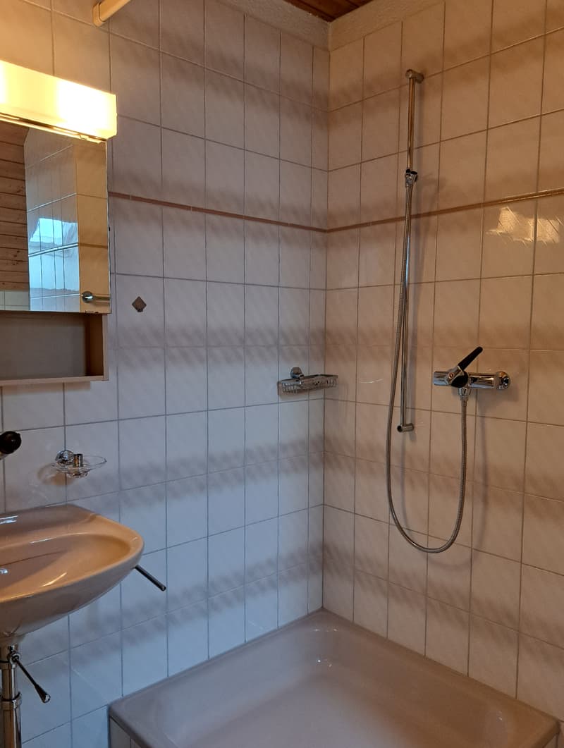 1728_Dusche 2