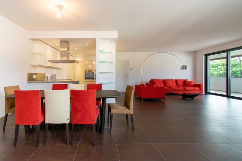 RAFFINATO APPARTAMENTO DI 4.5 LOCALI ARREDATO CON TERRAZZA PANORAMICA (2)
