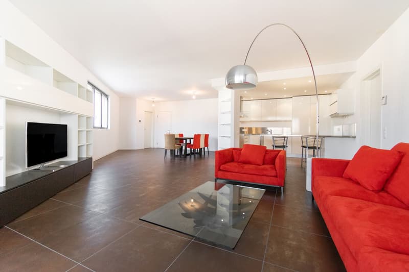 RAFFINATO APPARTAMENTO DI 4.5 LOCALI ARREDATO CON TERRAZZA PANORAMICA (5)
