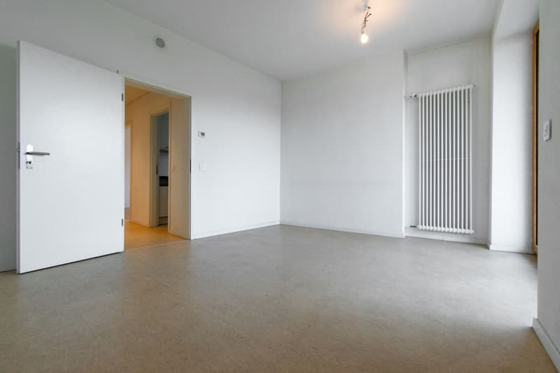 Wohnungen 3.5 Zimmer in gut erschlossener Lage (4)
