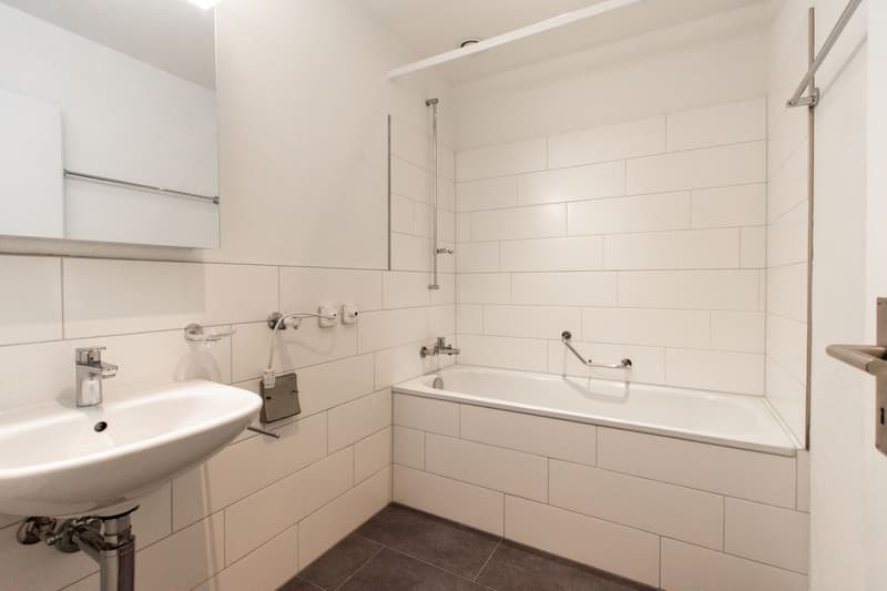 Wohnungen 3.5 Zimmer in gut erschlossener Lage (9)