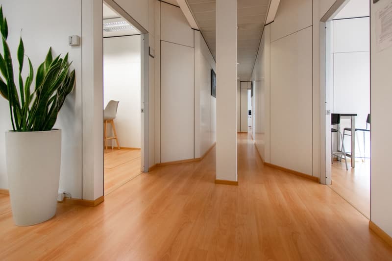 Elegantes Büro im Herzen von Lugano (8)