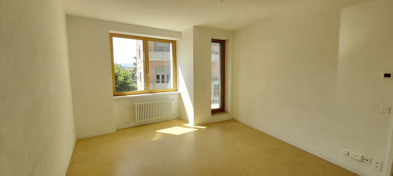 HELLDUNKLE 4.5 ZIMMER IN MINERGIE-GEBAUDE (4)
