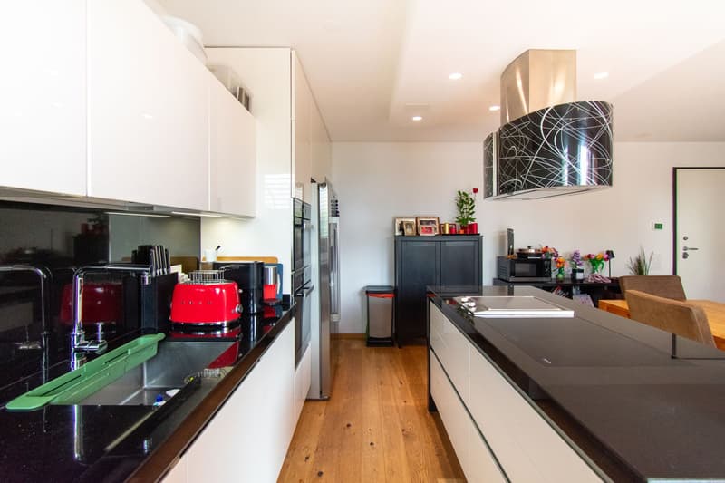 Modern 5.5 rooms with small garden (3)