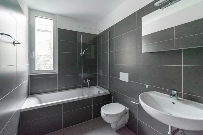 Spacious 2.5 rooms in Lumino (6)