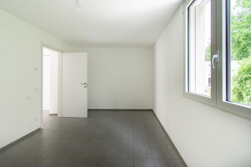Spacious 2.5 rooms in Lumino (5)