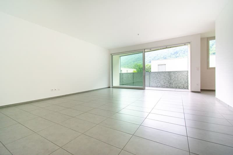 Spacious 2.5 rooms in Lumino (4)