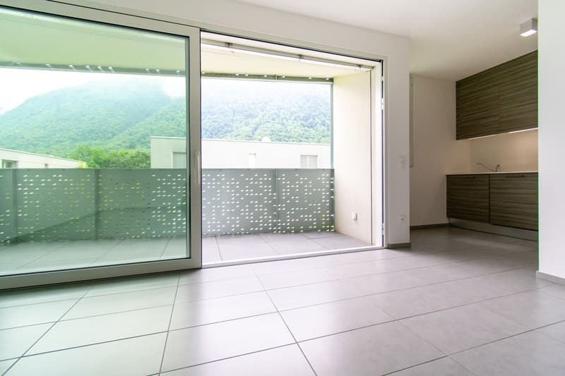 Spacious 2.5 rooms in Lumino (3)