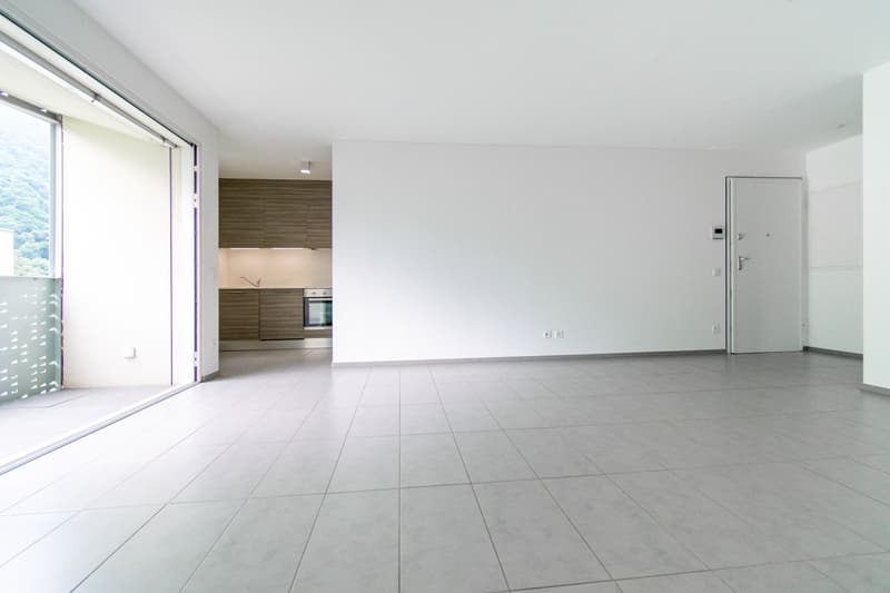 Spacious 2.5 rooms in Lumino (2)