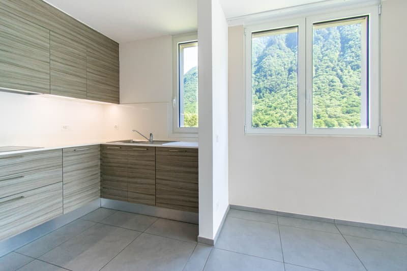 Appartement moderne 4.5 pièces à Lumino (1)
