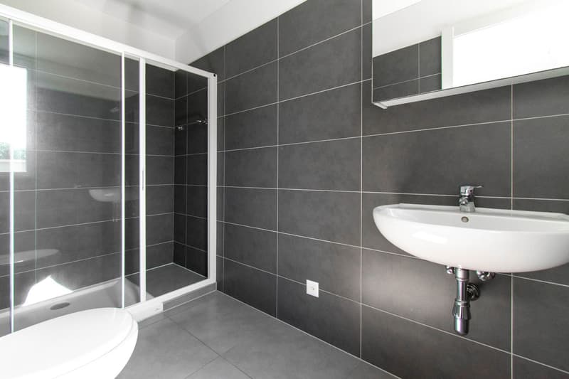 Appartement moderne 4.5 pièces à Lumino (10)