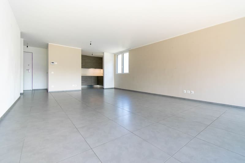Appartement moderne 4.5 pièces à Lumino (3)