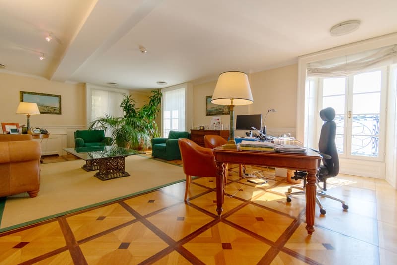 Prestigeträchtige Büros mit Seeblick in historischem Gebäude (3)