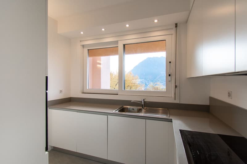 ATTICO 4.5 LOCALI RISTRUTTURATO CON CAMINO E VISTA LAGO (9)