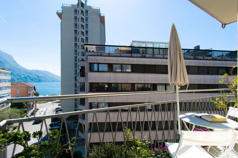 APPARTEMENT LUMINEUX 4.5 PIÈCES AVEC BALCON ET VUE SUR LE LAC (15)