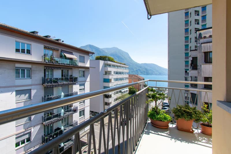 APPARTEMENT LUMINEUX 4.5 PIÈCES AVEC BALCON ET VUE SUR LE LAC (14)