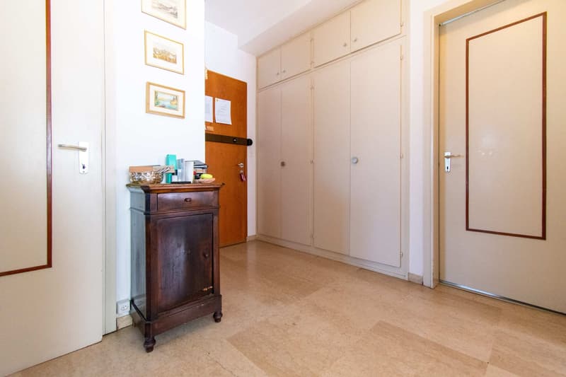 APPARTEMENT LUMINEUX 4.5 PIÈCES AVEC BALCON ET VUE SUR LE LAC (12)