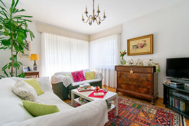 APPARTEMENT LUMINEUX 4.5 PIÈCES AVEC BALCON ET VUE SUR LE LAC (2)
